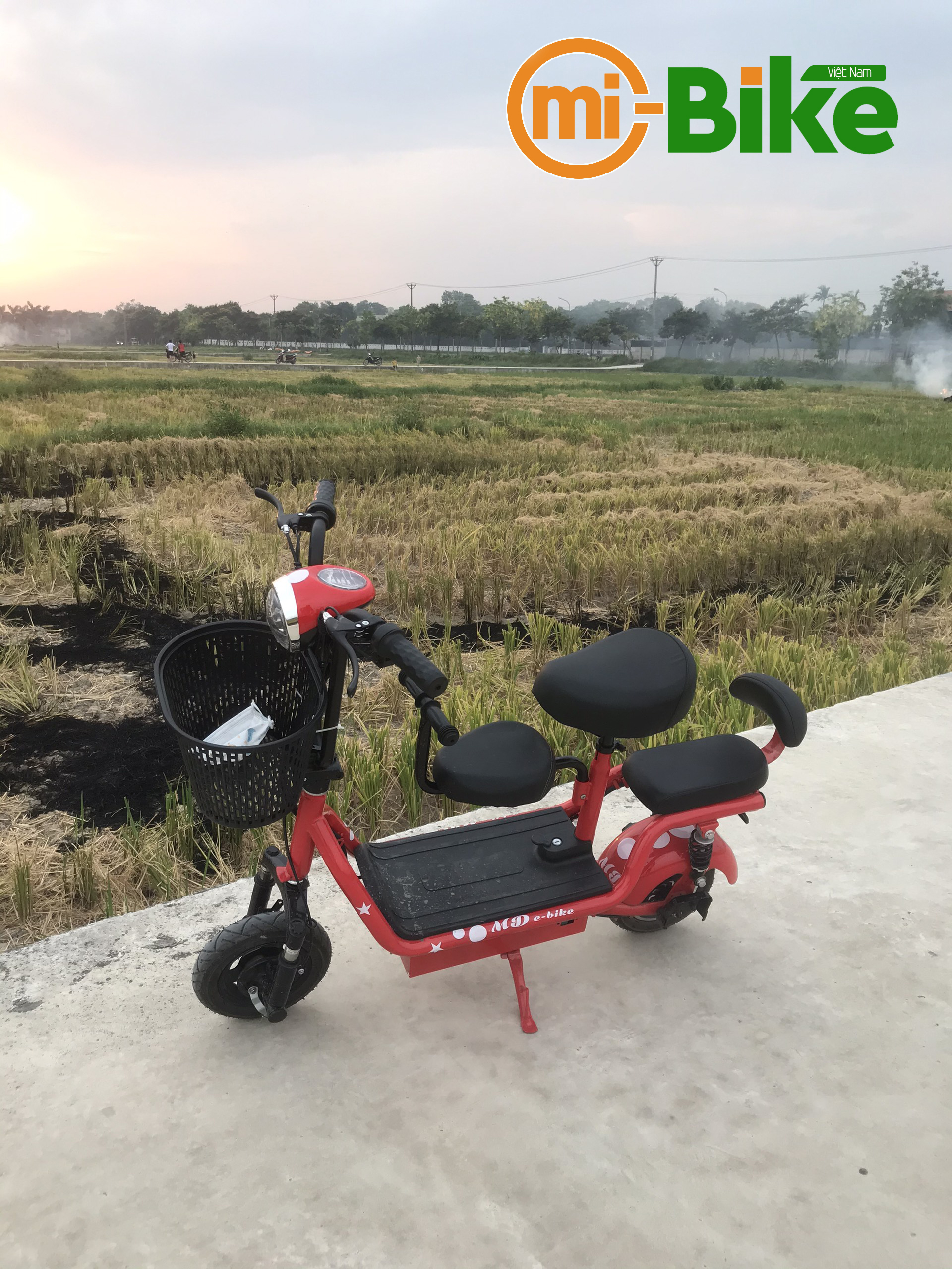 v2 pro đỏ