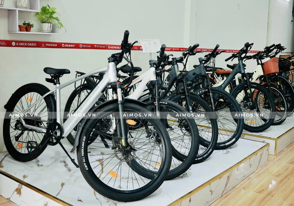 Xe đạp trợ lực điện loại nào tốt? Kinh nghiệm chọn mua